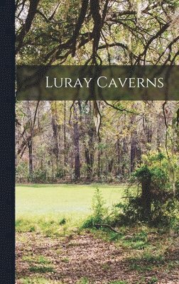 bokomslag Luray Caverns