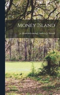 bokomslag Money Island