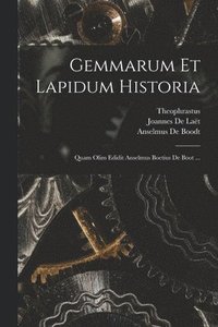 bokomslag Gemmarum Et Lapidum Historia