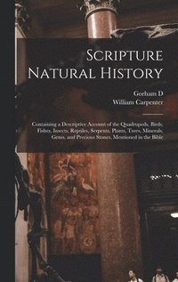 bokomslag Scripture Natural History; Containing a Descriptive Account of the Quadrupeds, Birds, Fishes, Insects, Reptiles, Serpents, Plants, Trees, Minerals, Gems, and Precious Stones, Mentioned in the Bible