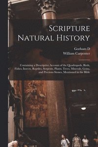bokomslag Scripture Natural History; Containing a Descriptive Account of the Quadrupeds, Birds, Fishes, Insects, Reptiles, Serpents, Plants, Trees, Minerals, Gems, and Precious Stones, Mentioned in the Bible