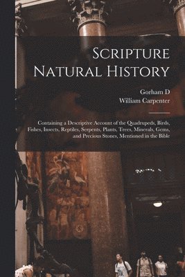 bokomslag Scripture Natural History; Containing a Descriptive Account of the Quadrupeds, Birds, Fishes, Insects, Reptiles, Serpents, Plants, Trees, Minerals, Gems, and Precious Stones, Mentioned in the Bible