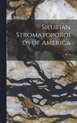 bokomslag Silurian Stromatoporoids of America