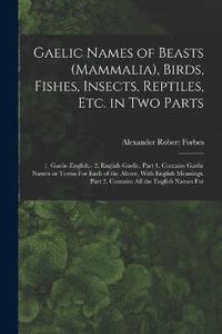 bokomslag Gaelic Names of Beasts (Mammalia), Birds, Fishes, Insects, Reptiles, etc. in two Parts