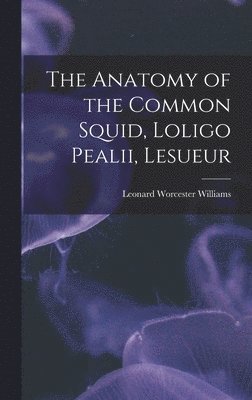 The Anatomy of the Common Squid, Loligo Pealii, Lesueur 1