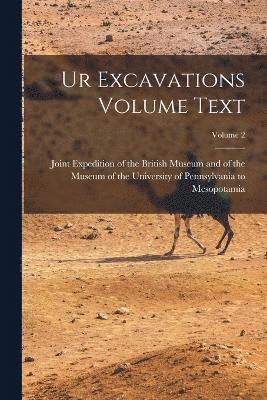 bokomslag Ur Excavations Volume Text; Volume 2