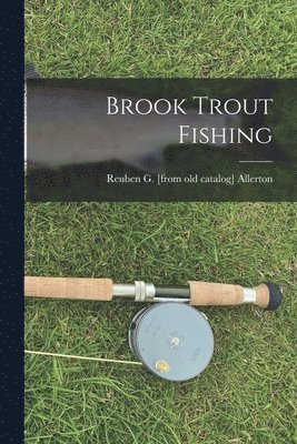 Brook Trout Fishing 1