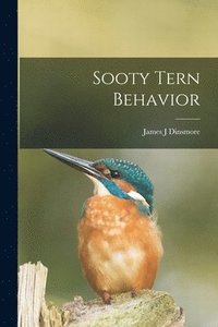 bokomslag Sooty Tern Behavior