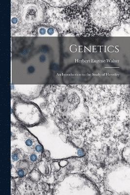 bokomslag Genetics; an Introduction to the Study of Heredity