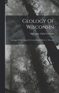 bokomslag Geology Of Wisconsin