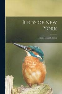 bokomslag Birds of New York