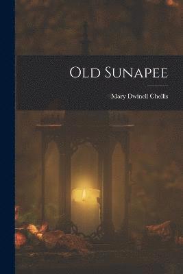 Old Sunapee 1