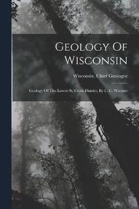 bokomslag Geology Of Wisconsin