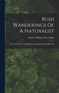 bokomslag Bush Wanderings Of A Naturalist