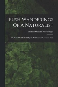 bokomslag Bush Wanderings Of A Naturalist