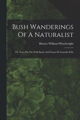 Bush Wanderings Of A Naturalist