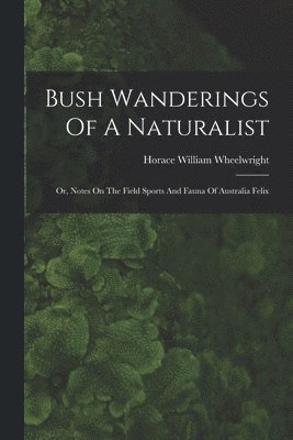 Bush Wanderings Of A Naturalist 1