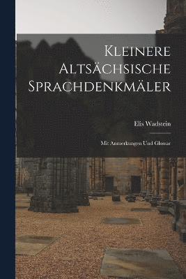 bokomslag Kleinere Altschsische Sprachdenkmler