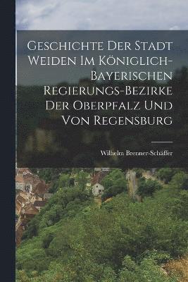 bokomslag Geschichte der Stadt Weiden im kniglich-bayerischen Regierungs-Bezirke der Oberpfalz und von Regensburg