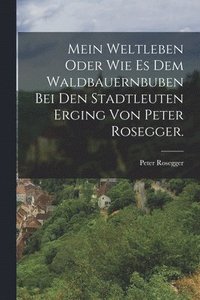 bokomslag Mein Weltleben oder wie es dem Waldbauernbuben bei den Stadtleuten erging von Peter Rosegger.