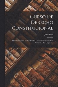 bokomslag Curso De Derecho Constitucional