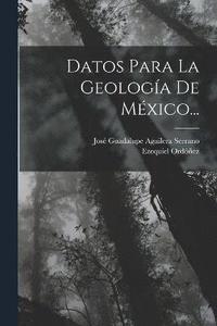 bokomslag Datos Para La Geologa De Mxico...