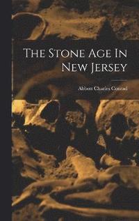bokomslag The Stone Age In New Jersey