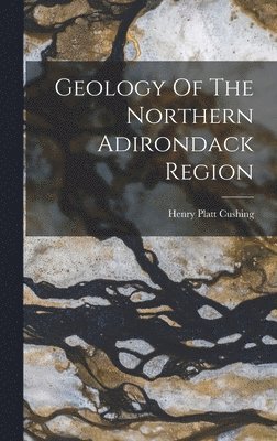 bokomslag Geology Of The Northern Adirondack Region