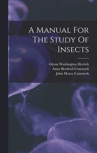 bokomslag A Manual For The Study Of Insects