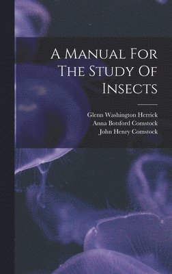 A Manual For The Study Of Insects 1