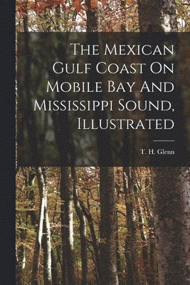 bokomslag The Mexican Gulf Coast On Mobile Bay And Mississippi Sound, Illustrated