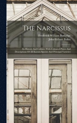 The Narcissus 1