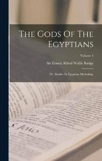 bokomslag The Gods Of The Egyptians