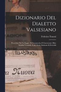 bokomslag Dizionario Del Dialetto Valsesiano