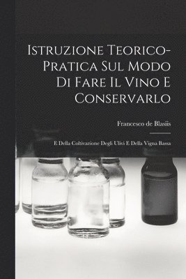 bokomslag Istruzione Teorico-pratica Sul Modo Di Fare Il Vino E Conservarlo