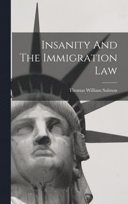 bokomslag Insanity And The Immigration Law