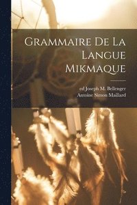 bokomslag Grammaire de la langue mikmaque