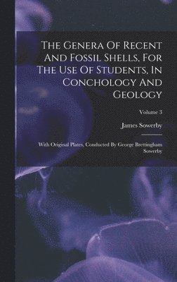 James Sowerby - Genera Of Recent And Fossil Shells, For The Use Of Students, In Conchology And Geology, Inbunden