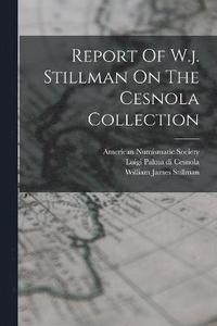 bokomslag Report Of W.j. Stillman On The Cesnola Collection