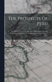 bokomslag The Prospects Of Peru