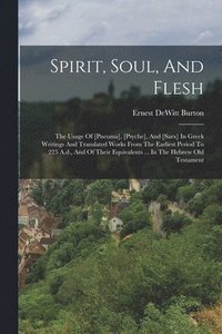 bokomslag Spirit, Soul, And Flesh