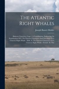 bokomslag The Atlantic Right Whales