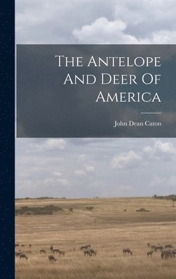 Antelope And Deer Of America
