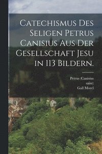 bokomslag Catechismus des seligen Petrus Canisius aus der Gesellschaft Jesu in 113 Bildern.