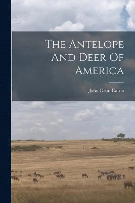 The Antelope And Deer Of America 1