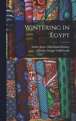 Wintering in Egypt 1