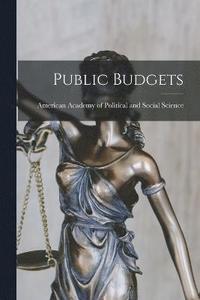 bokomslag Public Budgets