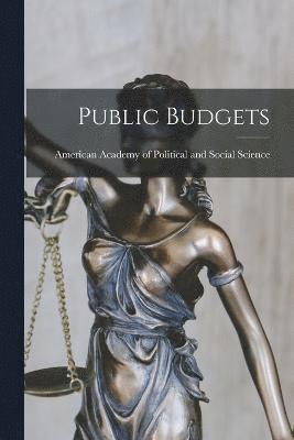 American Academy of Political and Soc - Public Budgets, Häftad