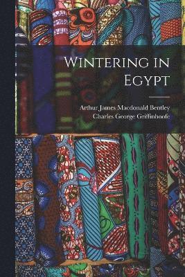 Wintering in Egypt 1