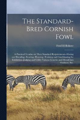 bokomslag The Standard-bred Cornish Fowl; a Practical Treatise on Their Standard Requirements--mating and Breeding--rearing--housing--training and Conditioning for Exhibition--judging and Utility